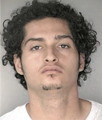 Alexander Cintron - Hillsborough County, FL 