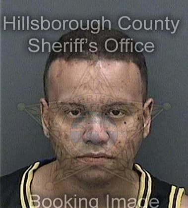 Gary Driggers, - Hillsborough County, FL 