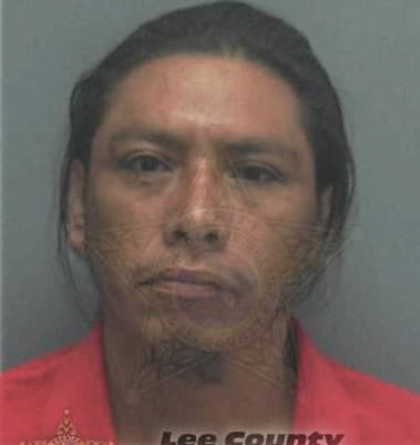 Reynaldo Garcia-Silva, - Lee County, FL 