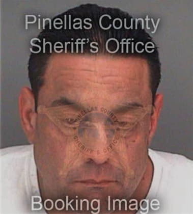 Darrin Mercado, - Pinellas County, FL 