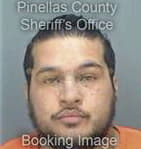 Mario Montenergro, - Pinellas County, FL 