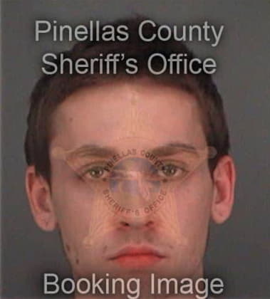 Michael Palermo, - Pinellas County, FL 