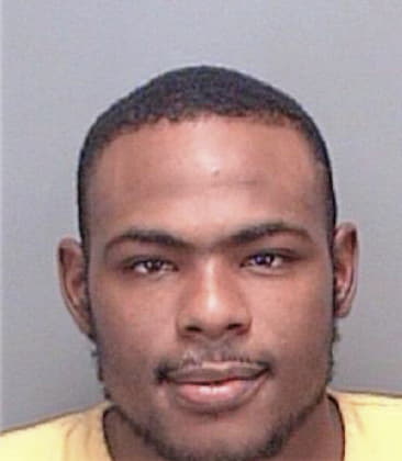 Michael Robertson, - Pinellas County, FL 