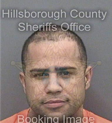 Jose Rodriguezmendoza, - Hillsborough County, FL 