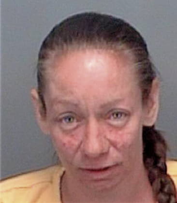 Linda Skapik - Pinellas County, FL 