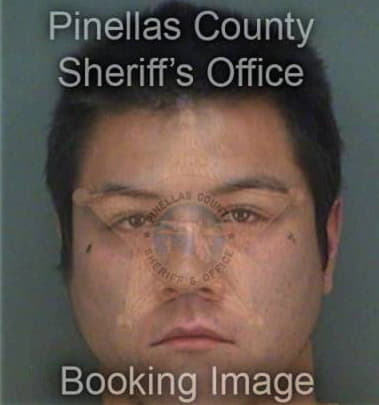 James Sousa - Pinellas County, FL 