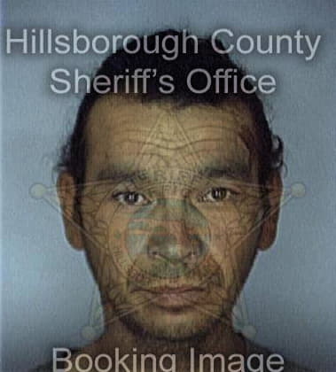 Robert Wiggins - Hillsborough County, FL 