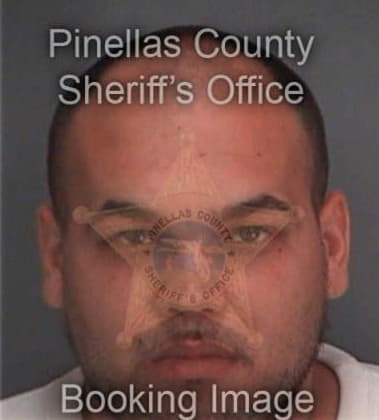 Daniel Gilliam, - Pinellas County, FL 