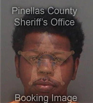 Torion Holliman, - Pinellas County, FL 