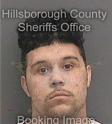 Brian Stuart, - Hillsborough County, FL 