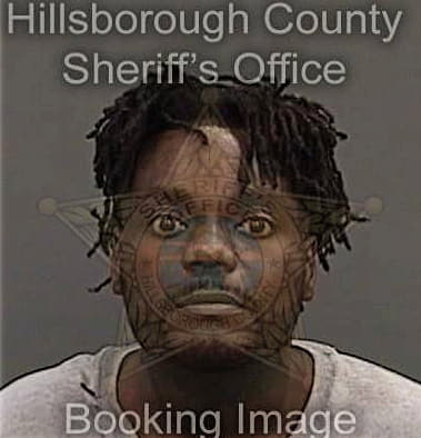 Bachelet Augustin, - Hillsborough County, FL 