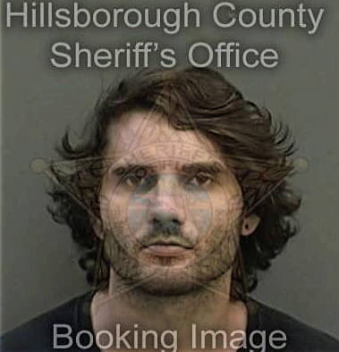 Michael Beltran, - Hillsborough County, FL 