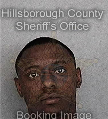 Felix Castillo, - Hillsborough County, FL 