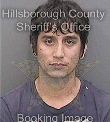 Travis Chambers, - Hillsborough County, FL 