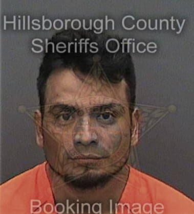 Ramon Reveronfranquiz, - Hillsborough County, FL 