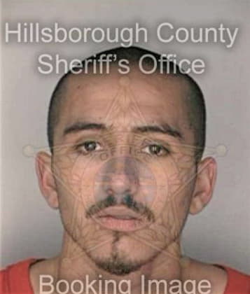 Giles Aviles, - Hillsborough County, FL 