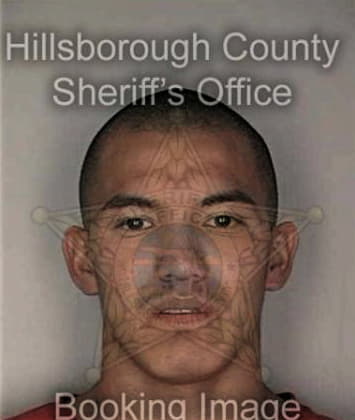 Don Bizzieri - Hillsborough County, FL 