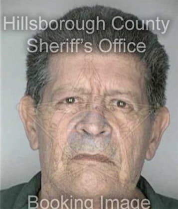Denzil Boylan - Hillsborough County, FL 