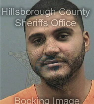 Mark Bright - Hillsborough County, FL 