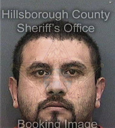 Donald Cagle, - Hillsborough County, FL 