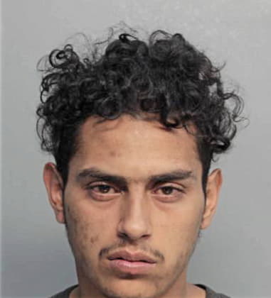 Nilson Carpio, - Dade County, FL 