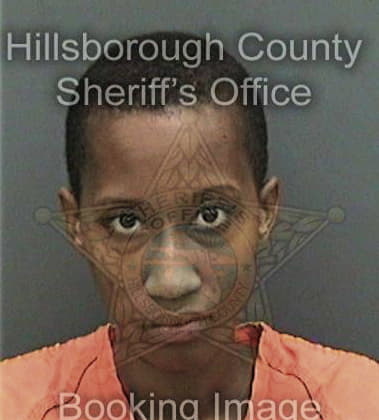 Tani Carvalho, - Hillsborough County, FL 