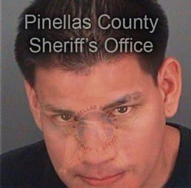 Constantino Colingonzalez, - Pinellas County, FL 