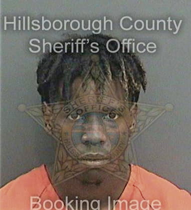 Robert Davis, - Hillsborough County, FL 