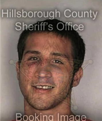 Ramiro Ibarra, - Hillsborough County, FL 