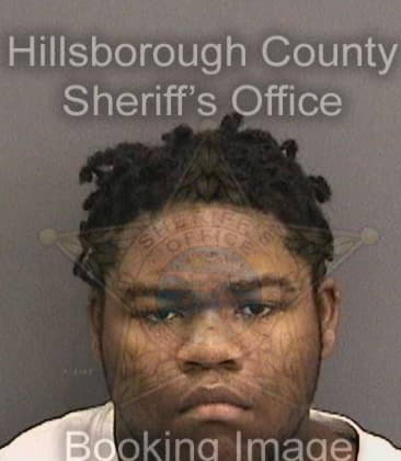 Antonio Johnson, - Hillsborough County, FL 