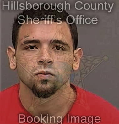 Justin Keck, - Hillsborough County, FL 