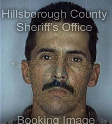 Michael Perdomo, - Hillsborough County, FL 