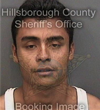 Donald Whitfield - Hillsborough County, FL 
