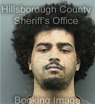 Michael Bellamy, - Hillsborough County, FL 