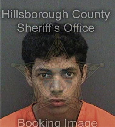 Henry Betancourt - Hillsborough County, FL 