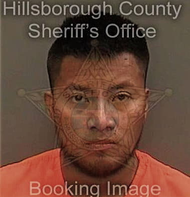 Caleb Brate - Hillsborough County, FL 