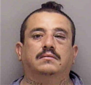 Miguel Chajson, - Lee County, FL 