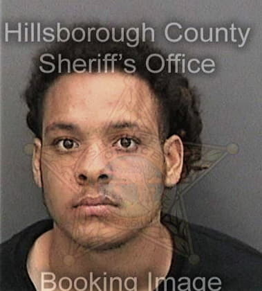 Dionta James, - Hillsborough County, FL 