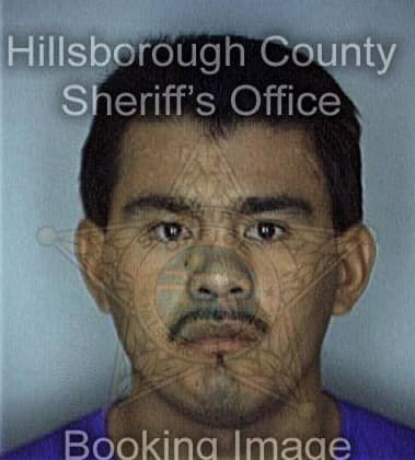 Jeffrey Kelly, - Hillsborough County, FL 