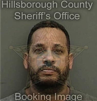 Gary Mercer - Hillsborough County, FL 