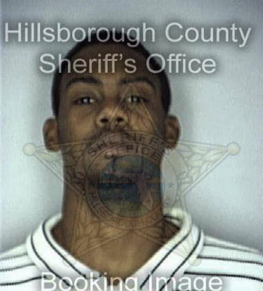 Charles Pippins, - Hillsborough County, FL 