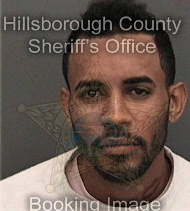 Jose Valerio, - Hillsborough County, FL 