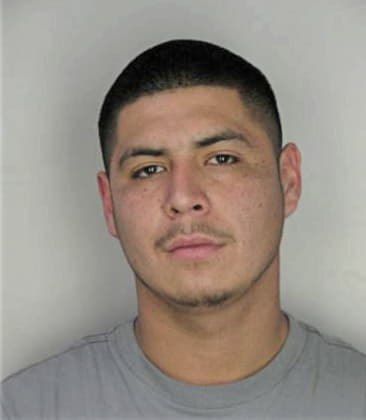 Daniel Vega, - Hillsborough County, FL 