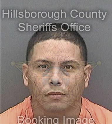 Michael Agosto, - Hillsborough County, FL 