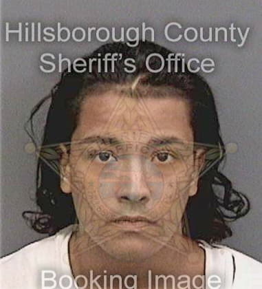 Ramon Alvarezlopez, - Hillsborough County, FL 