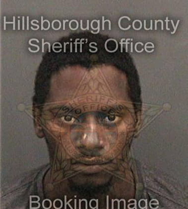 Brian Cobbins - Hillsborough County, FL 