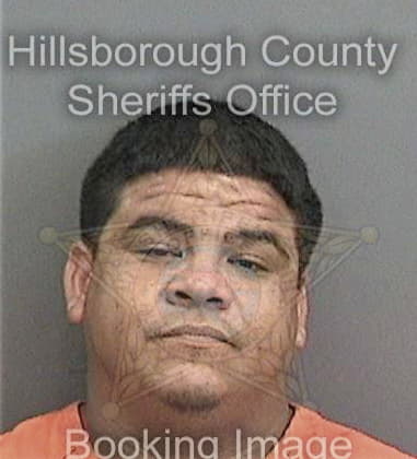 Victor Sancheznava, - Hillsborough County, FL 