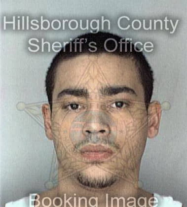 Isidro Vasilio, - Hillsborough County, FL 