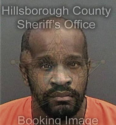 Ronald White - Hillsborough County, FL 