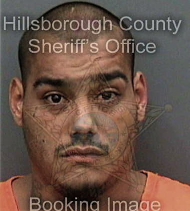 Peter Esquilin, - Hillsborough County, FL 